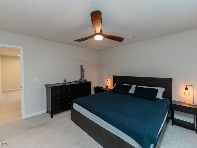 5419 Deerpath Drive, Sheffield Village, OH 44054 Photo 18