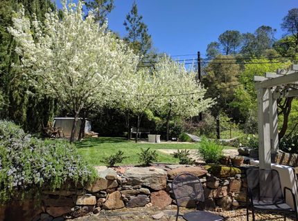 10820 Water St, Amador City, CA 95601 Photo