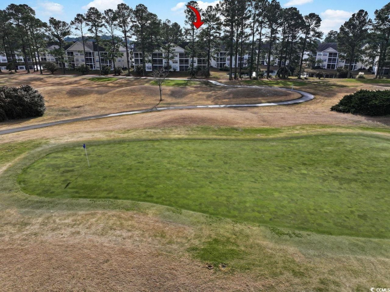 5000 Windsor Green Way Photo 31