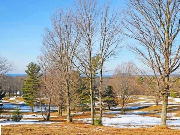 Sleepy Valley Drive W, Empire, MI 49630