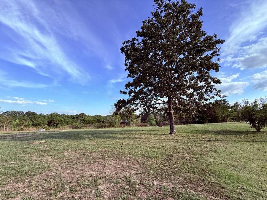 Property Image 60
