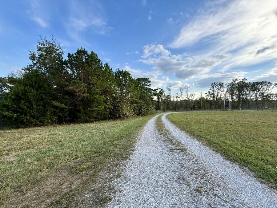 Property Image 65