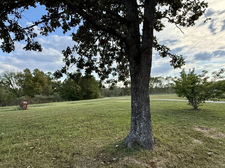 Property Image 67