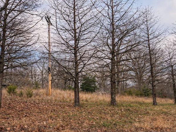 000 Acres Road , Williford, AR 72482