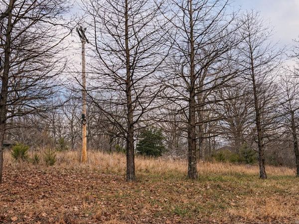 000 Acres Road, Williford, AR 72482