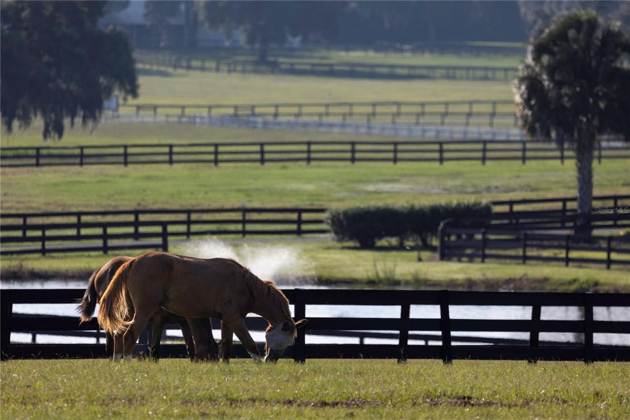 12750 W Highway 40, Ocala, FL 34481 Photo