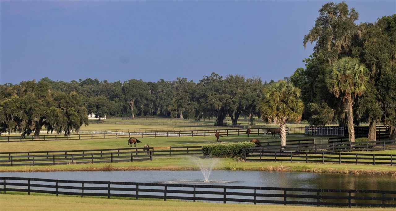 12750 W Highway 40, Ocala, FL 34481 Photo