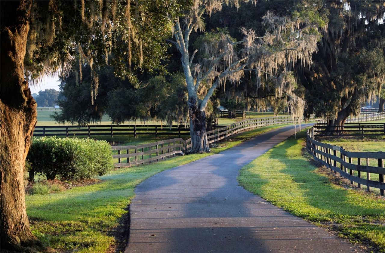 12750 W Highway 40, Ocala, FL 34481 Photo