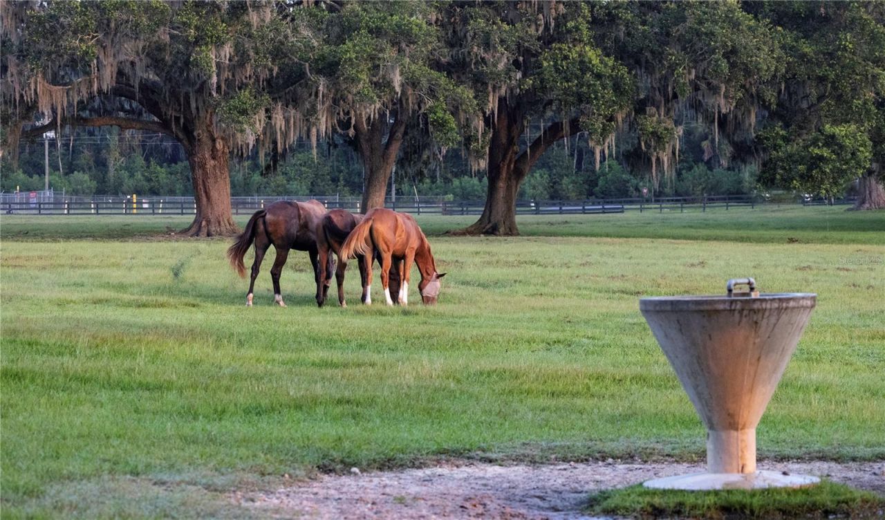 12750 W Highway 40, Ocala, FL 34481 Photo
