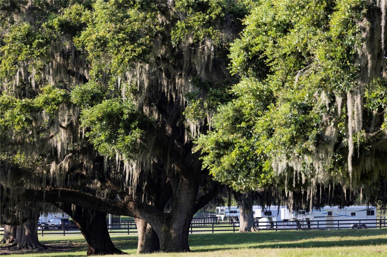 12750 W Highway 40, Ocala, FL 34481 Photo