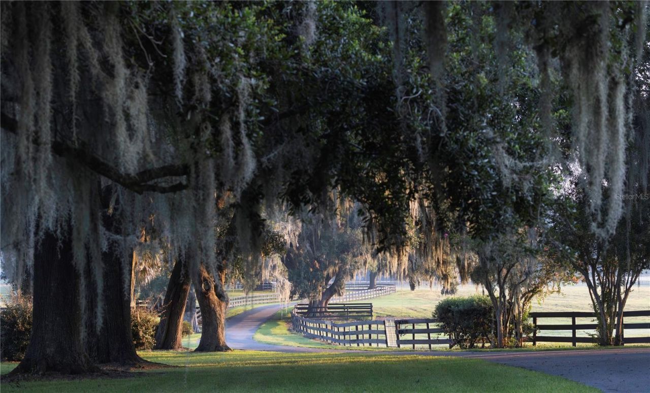 12750 W Highway 40, Ocala, FL 34481 Photo