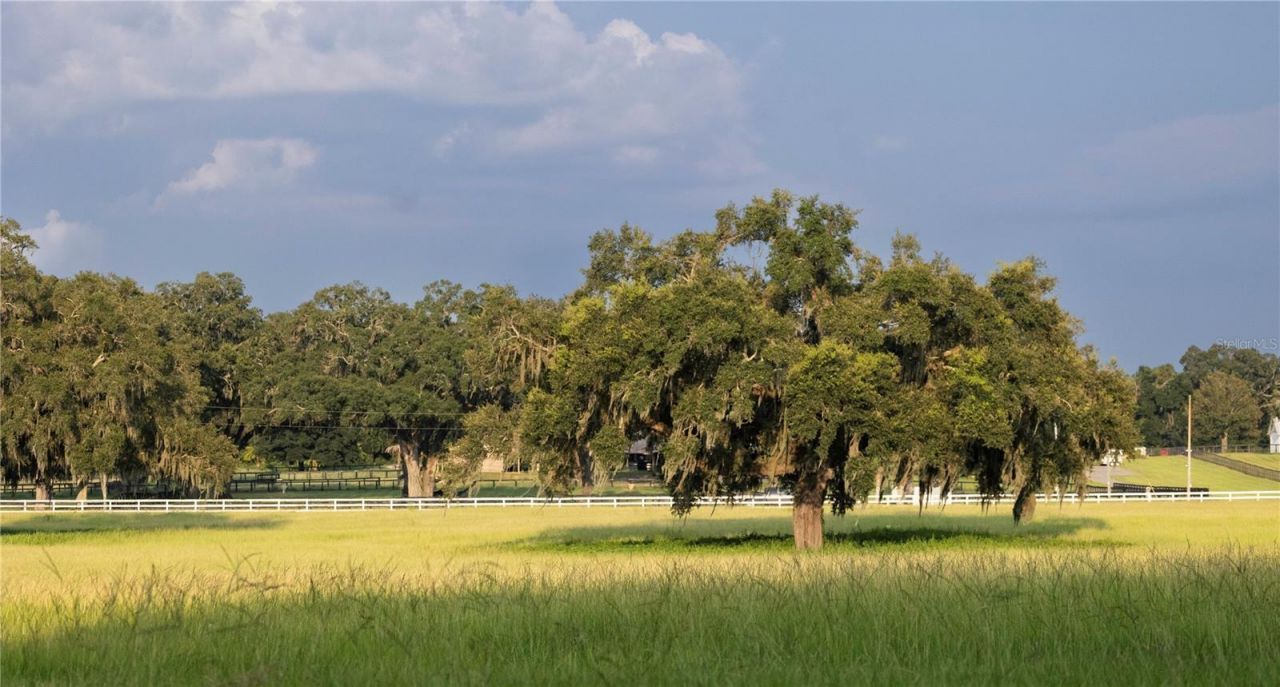 12750 W Highway 40, Ocala, FL 34481 Photo