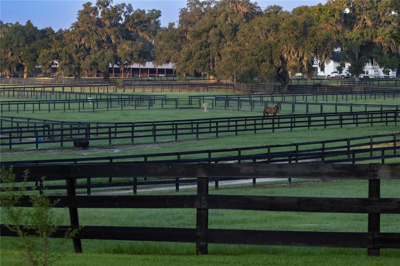 12750 W Highway 40, Ocala, FL 34481 Photo