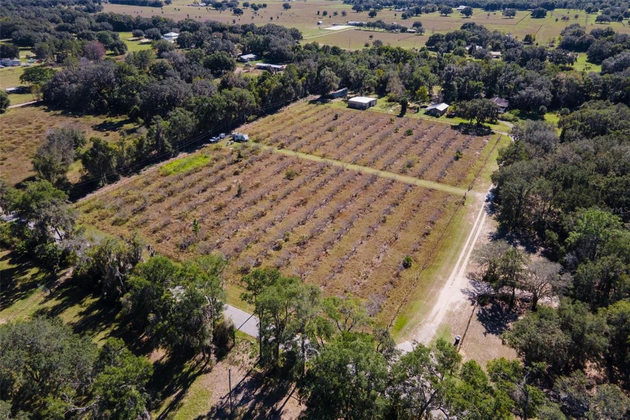 18250 Ravenswood Road, Altoona, FL 32702 Photo