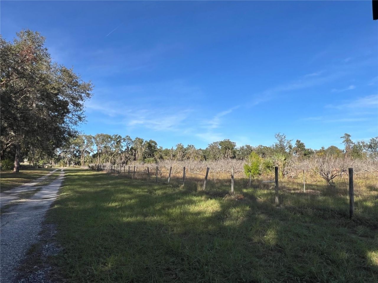 18250 Ravenswood Road, Altoona, FL 32702 Photo