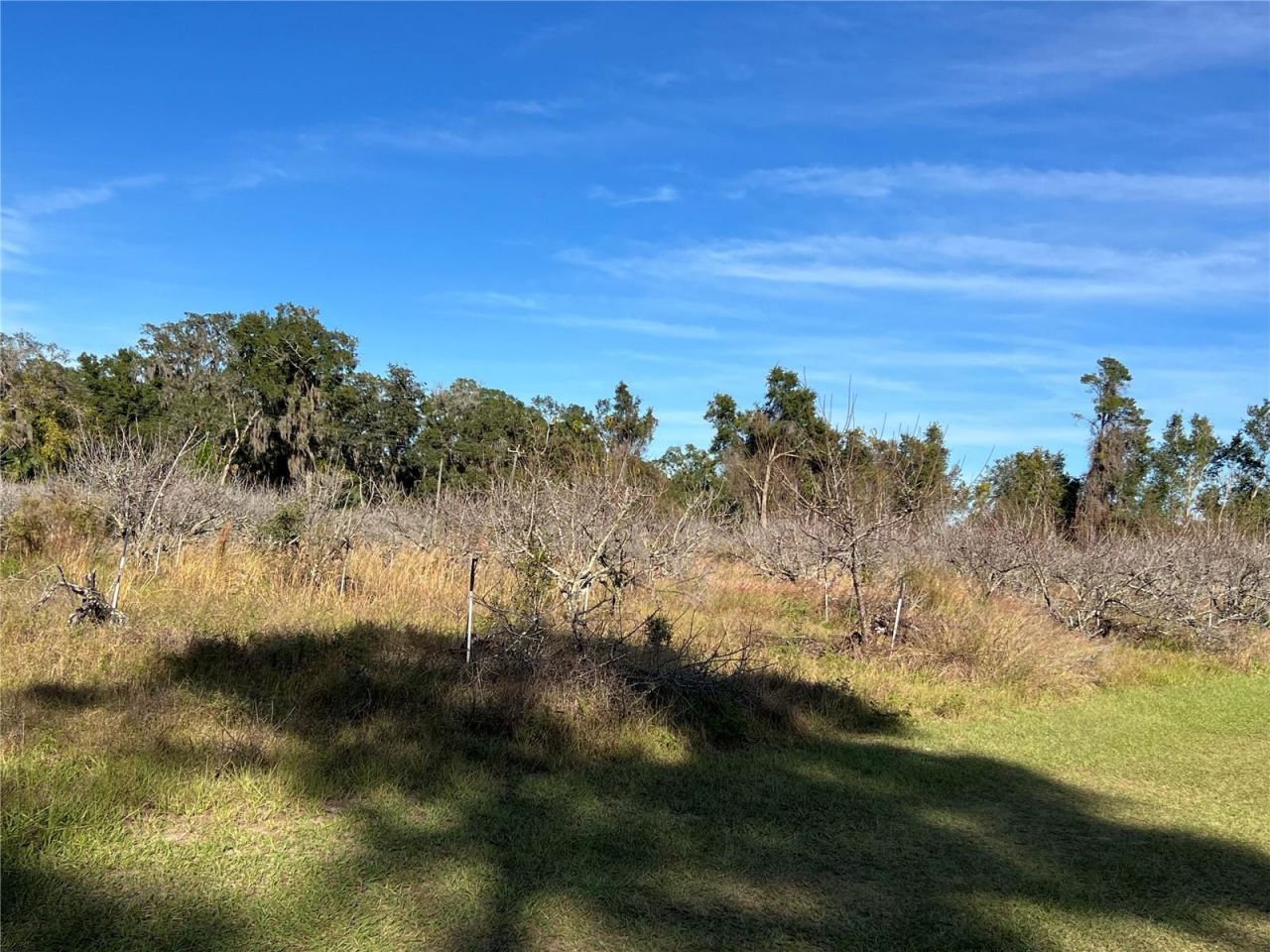 18250 Ravenswood Road, Altoona, FL 32702 Photo