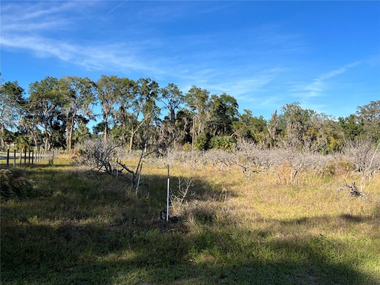 18250 Ravenswood Road, Altoona, FL 32702 Photo