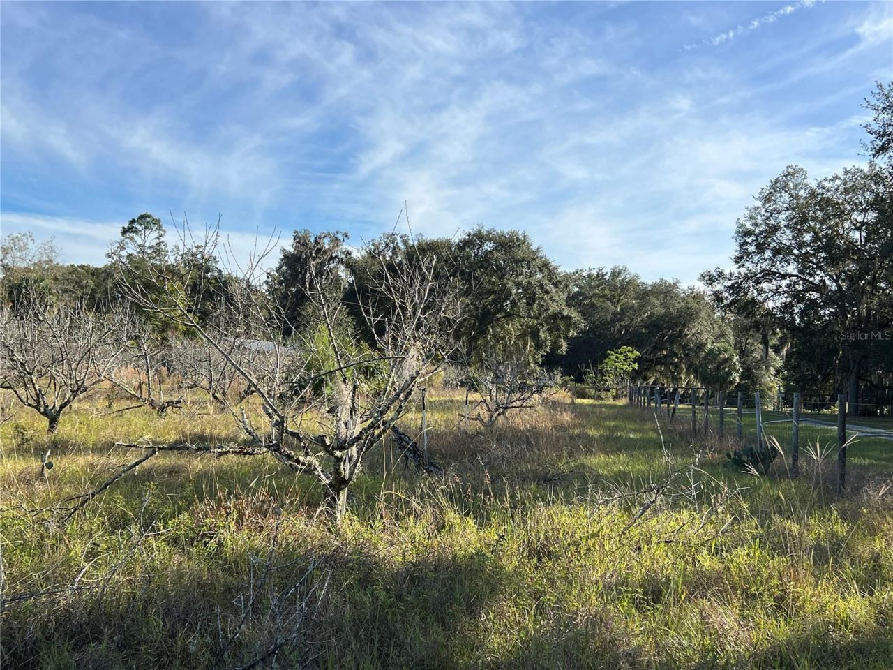 18250 Ravenswood Road, Altoona, FL 32702 Photo