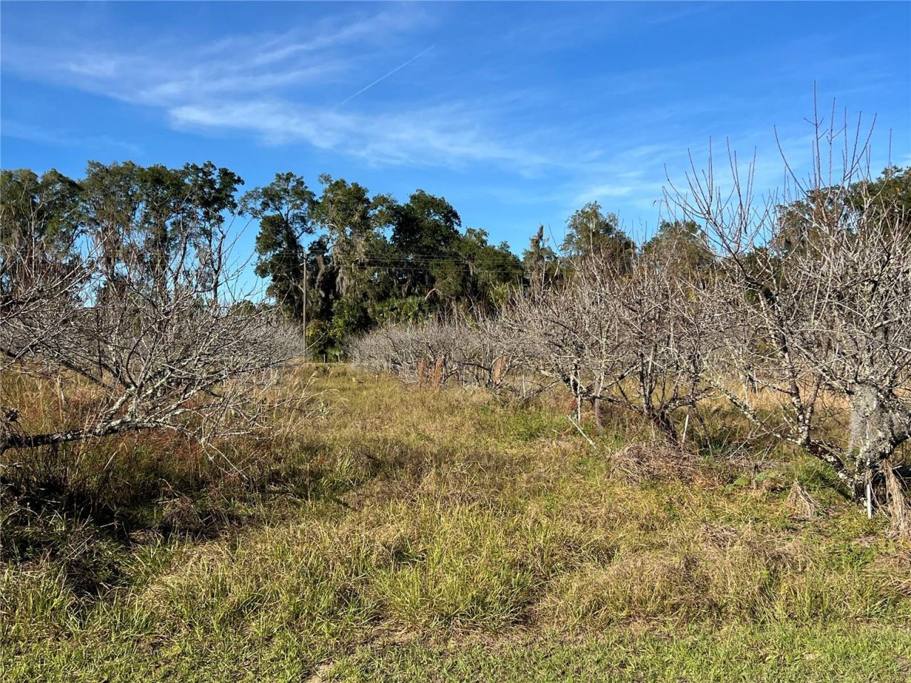 18250 Ravenswood Road, Altoona, FL 32702 Photo