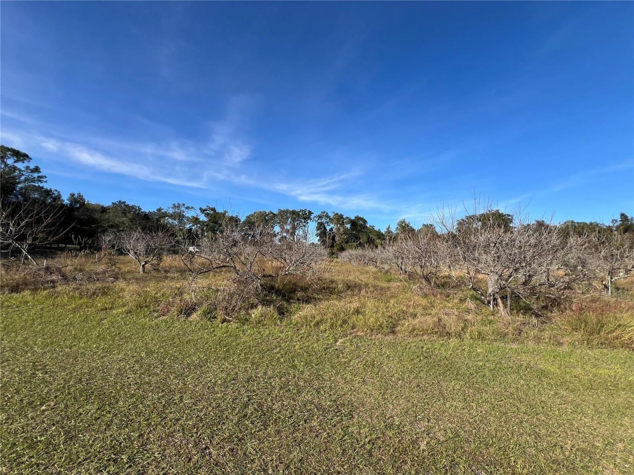 18250 Ravenswood Road, Altoona, FL 32702 Photo