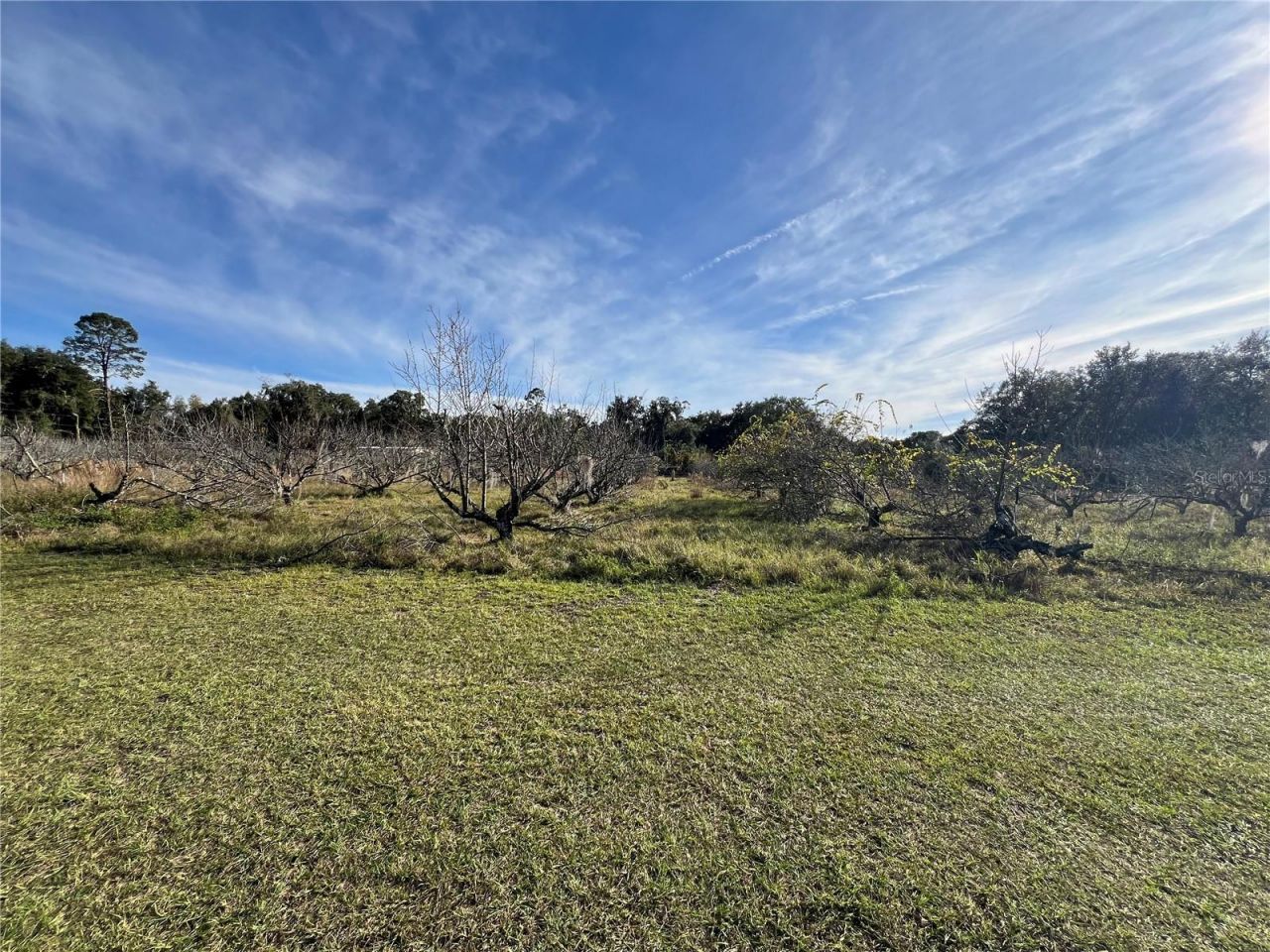 18250 Ravenswood Road, Altoona, FL 32702 Photo