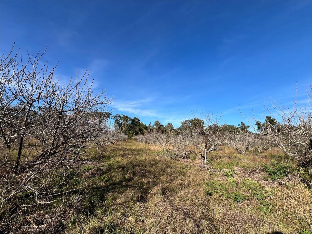 18250 Ravenswood Road, Altoona, FL 32702 Photo