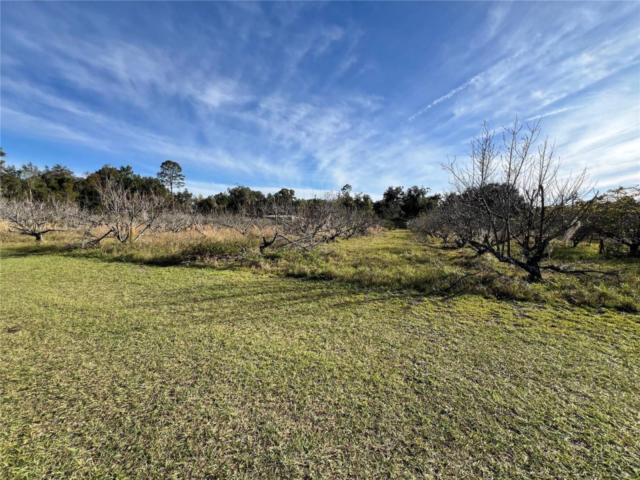 18250 Ravenswood Road, Altoona, FL 32702 Photo