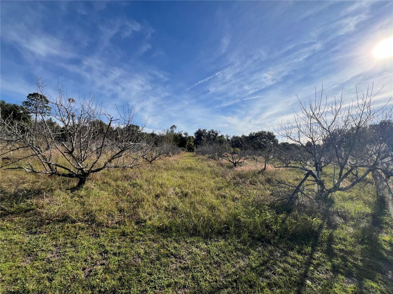 18250 Ravenswood Road, Altoona, FL 32702 Photo