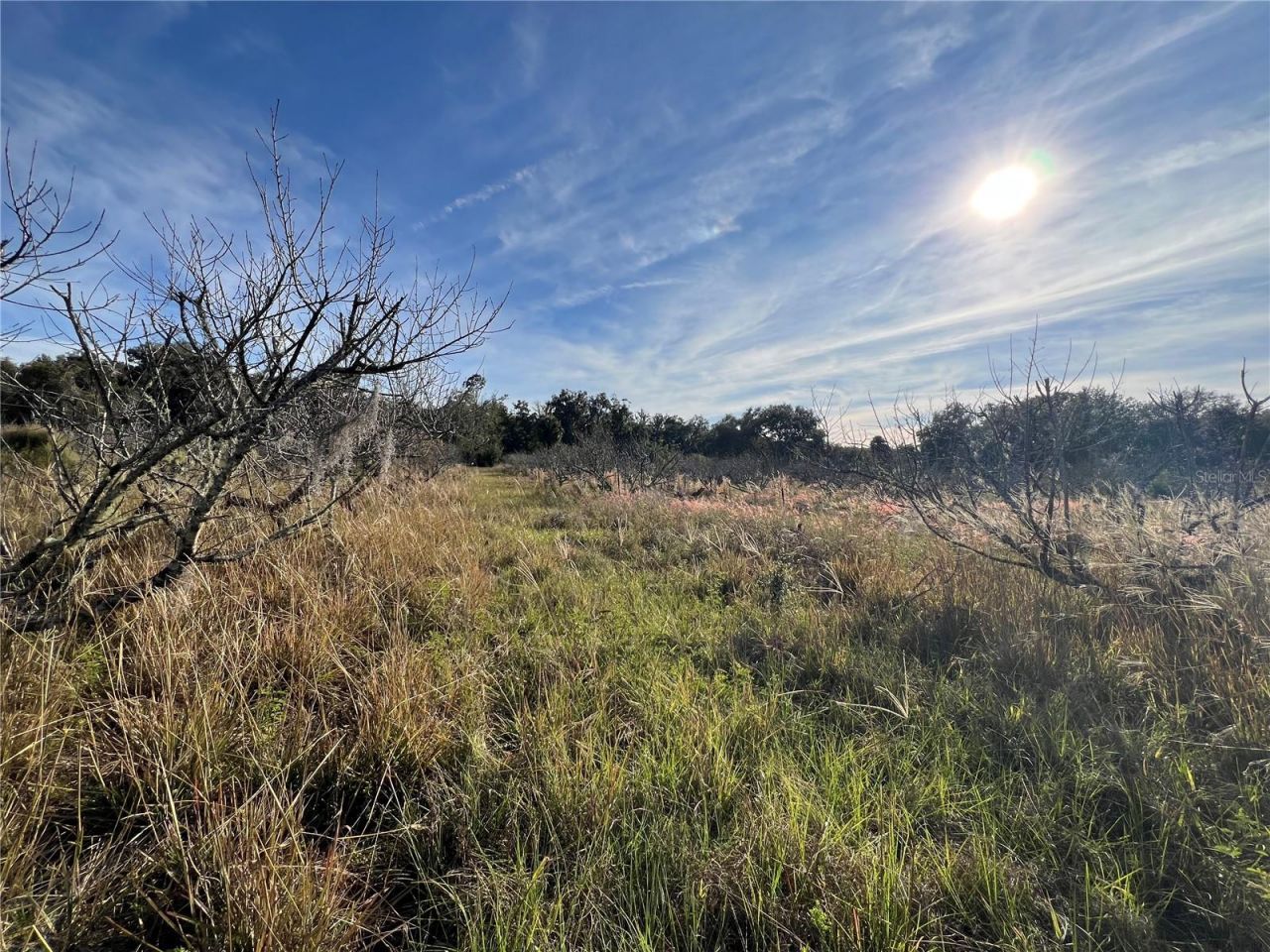 18250 Ravenswood Road, Altoona, FL 32702 Photo