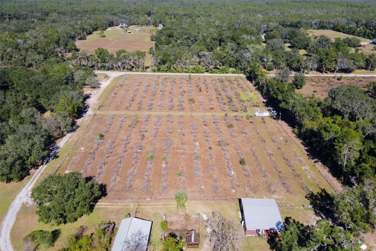 18250 Ravenswood Road, Altoona, FL 32702 Photo