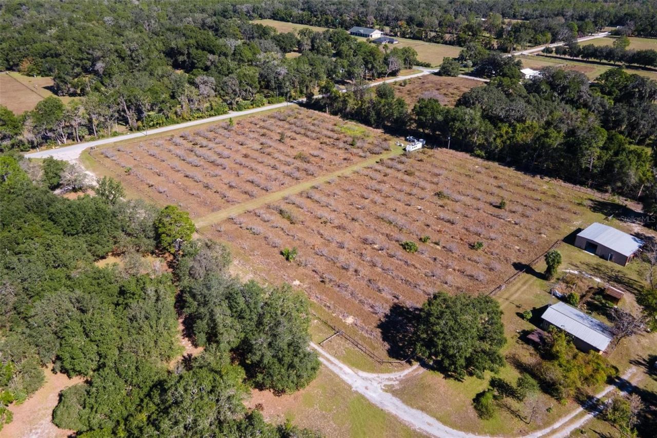 18250 Ravenswood Road, Altoona, FL 32702 Photo