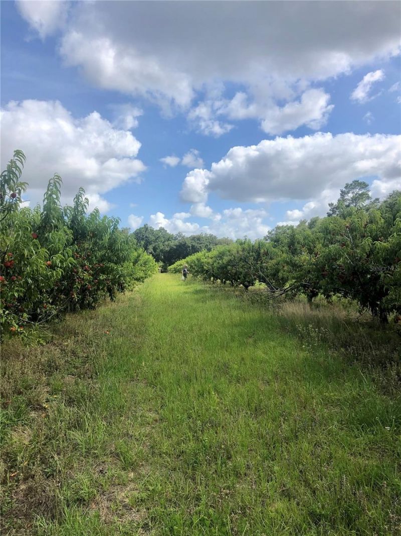 18250 Ravenswood Road, Altoona, FL 32702 Photo