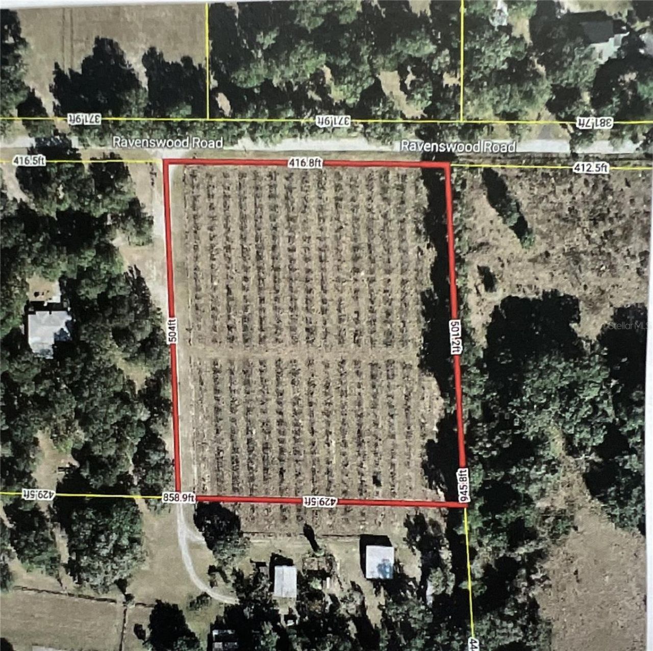 18250 Ravenswood Road, Altoona, FL 32702 Photo