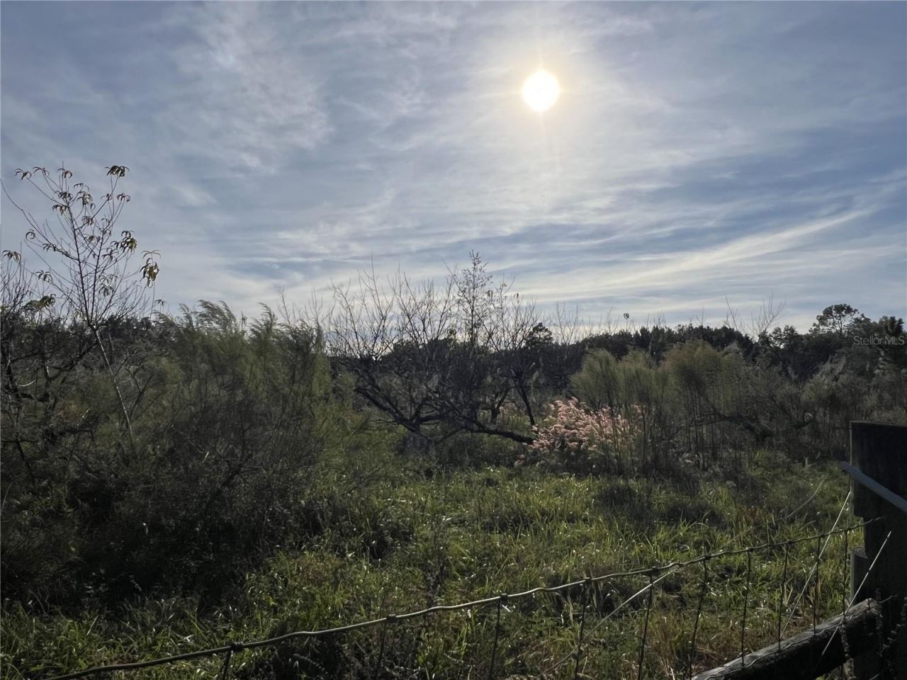 18250 Ravenswood Road, Altoona, FL 32702 Photo