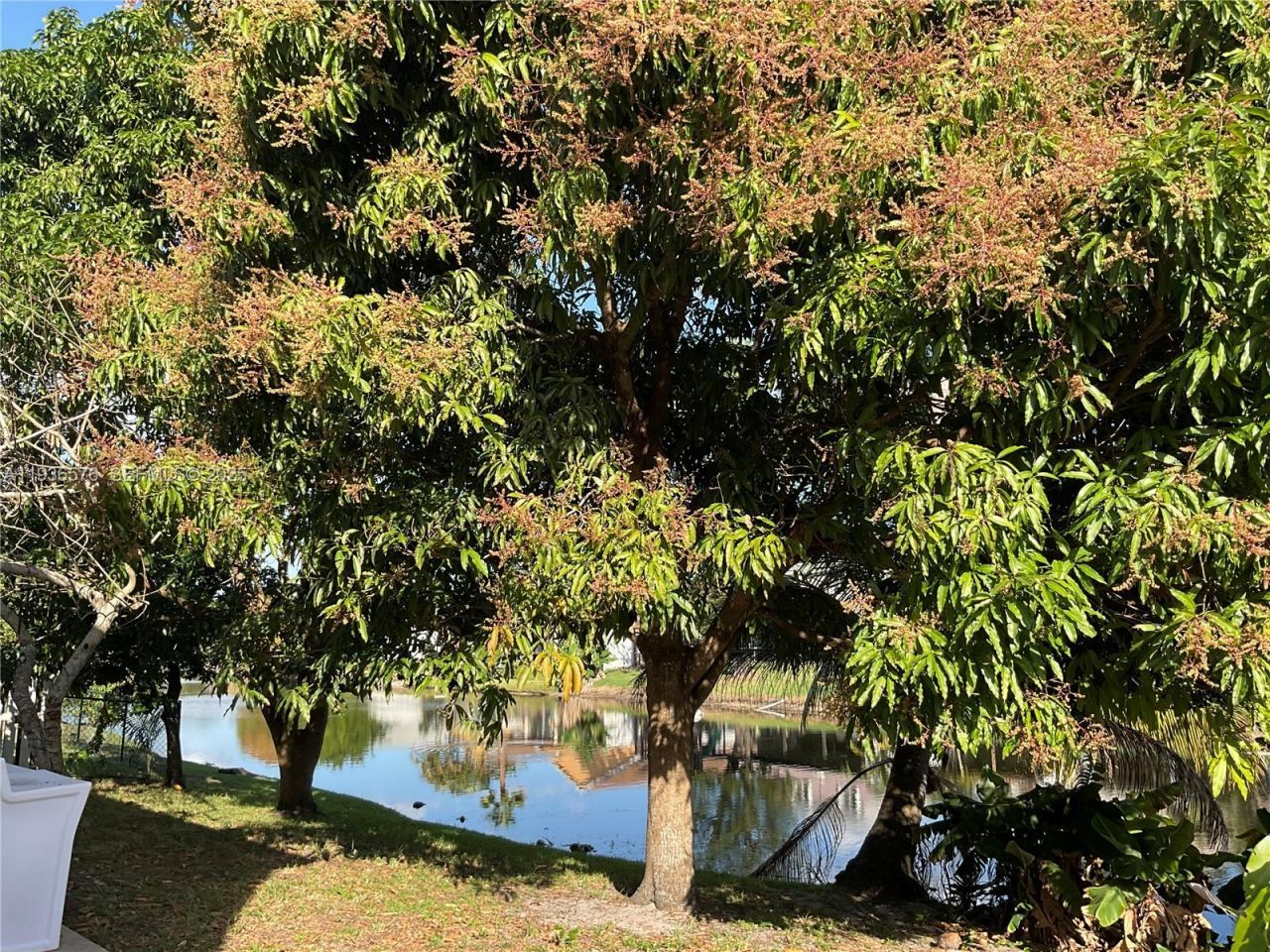 3161 Venice Way, Miramar, FL 33025 Photo