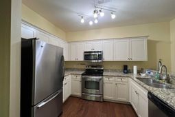 421 Grand Palm Lane photo 4