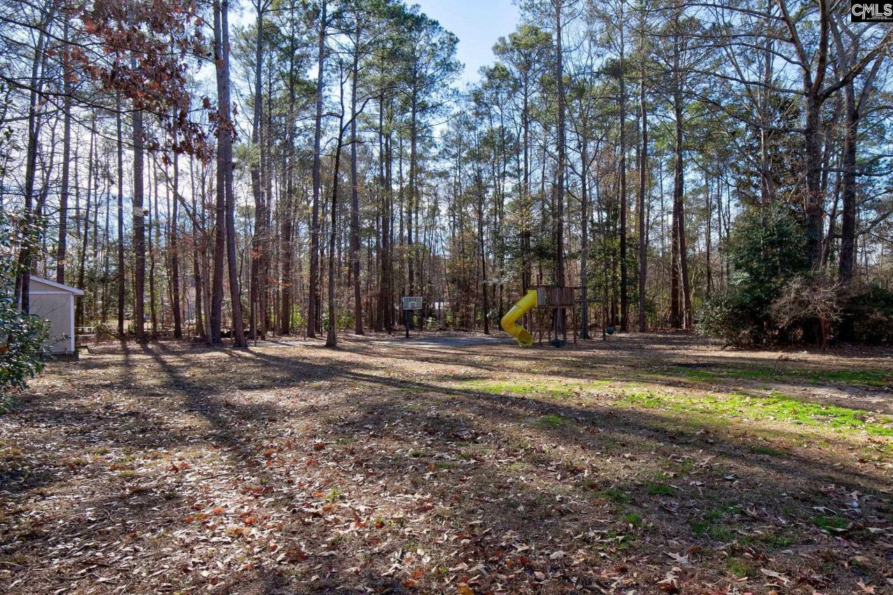 212 Running Deer Drive Photo 50