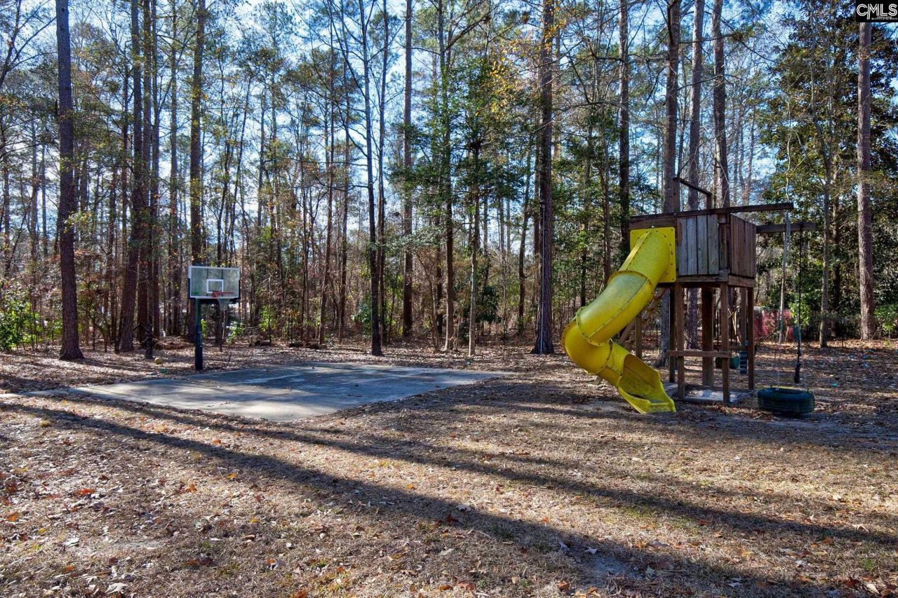 212 Running Deer Drive Photo 54