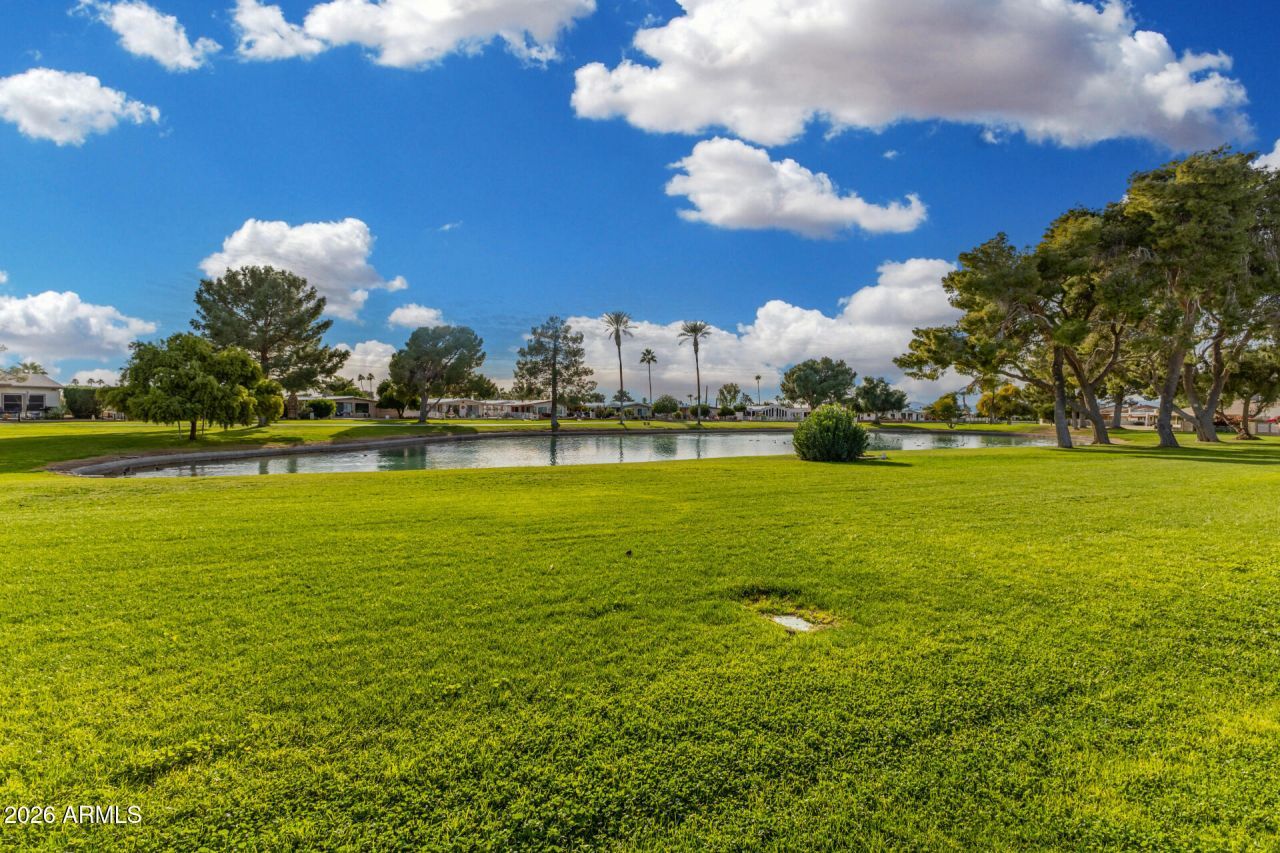 9333 E Parkside Drive, Sun Lakes, AZ 85248 Main Photo