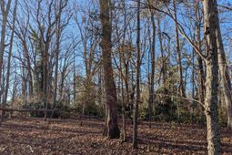 Dogwood Avenue  photo 4