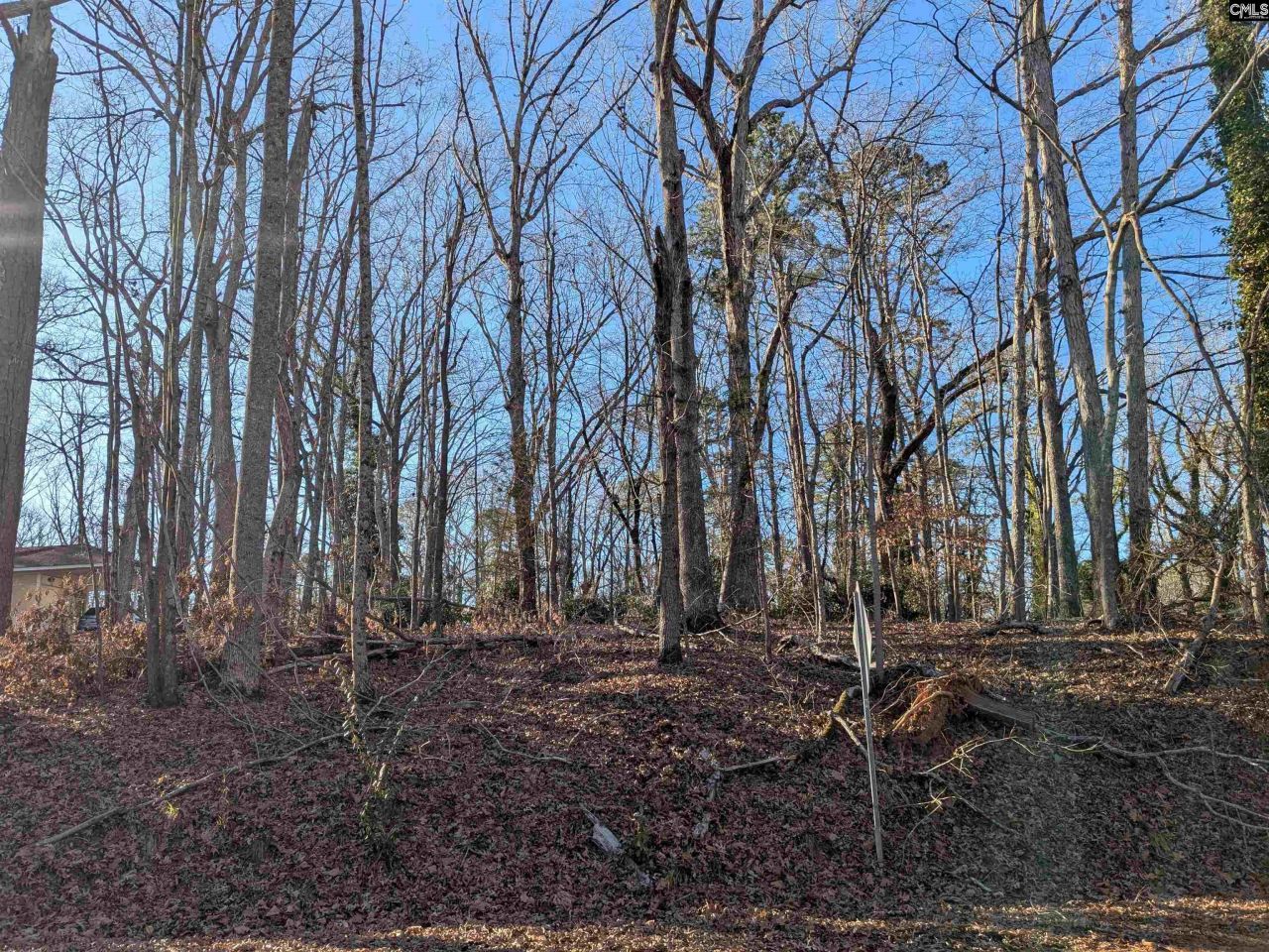 Dogwood Avenue  Photo 6