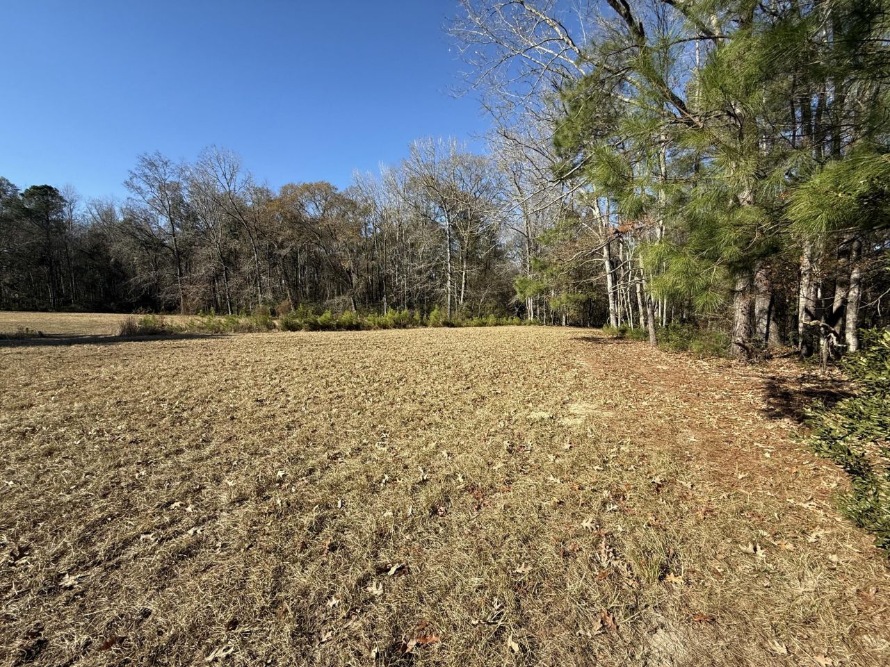 0 Cameron Drive Photo 1