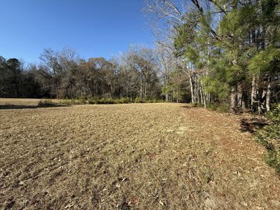 0 Cameron Drive, Ridgeville, SC 29472