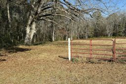 0 Cameron Drive photo 4