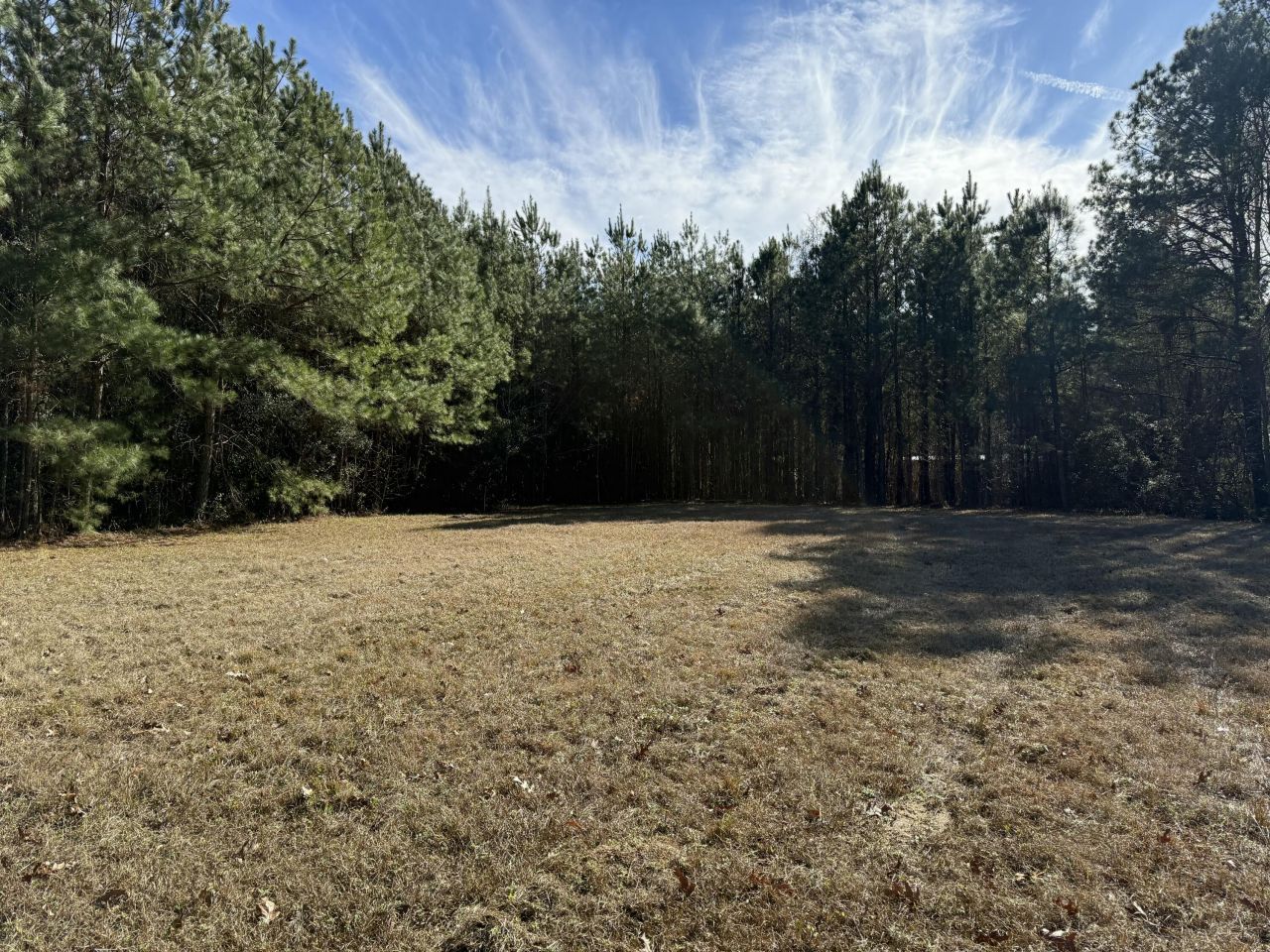 0 Cameron Drive Photo 4