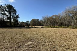 0 Cameron Drive photo 4