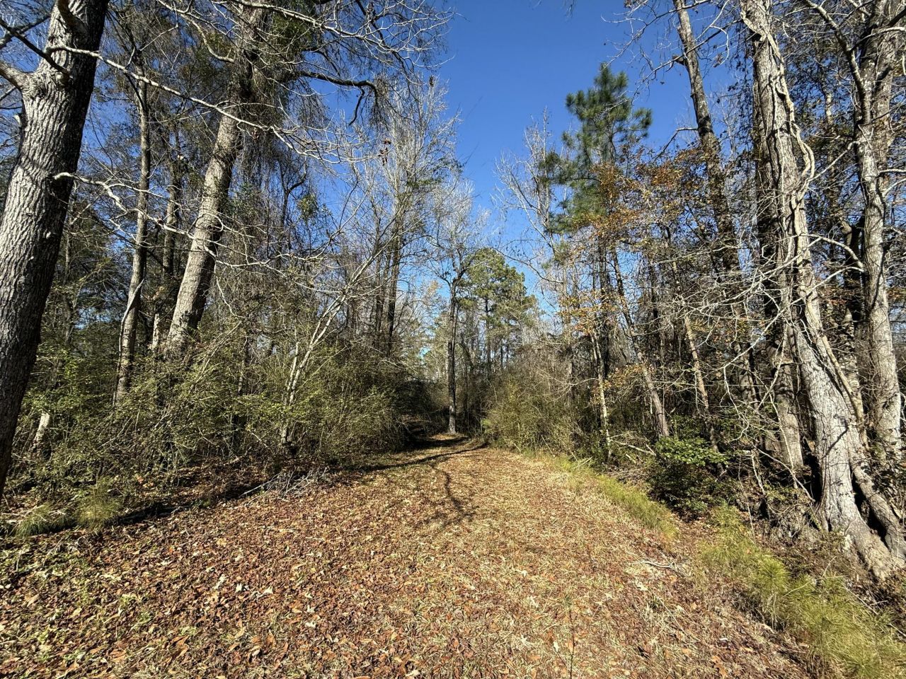 0 Cameron Drive Photo 8