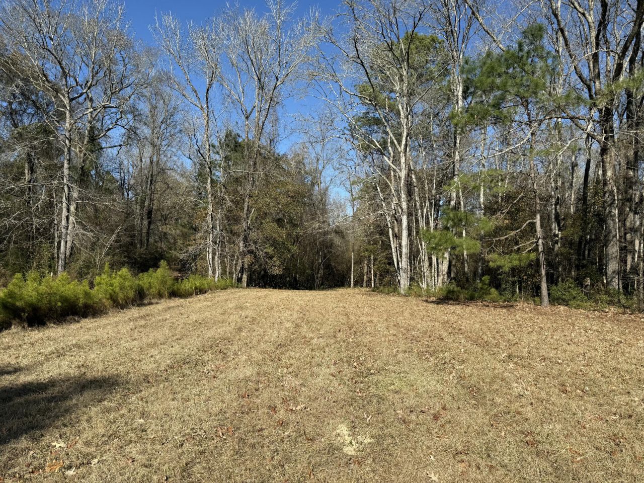 0 Cameron Drive Photo 9