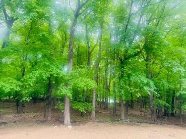 25725 Birch Bluff Road, Excelsior, MN 55331