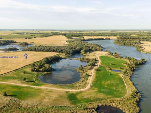 TBD Parcel D County 42, Parkers Prairie, MN 56361